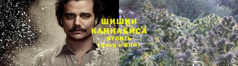 Бошки марихуана LSD WEED  хочу   Богданович 